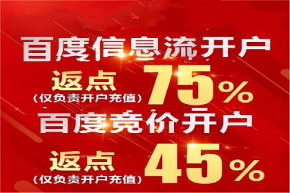 某行业SEM投放效果显著案例分享